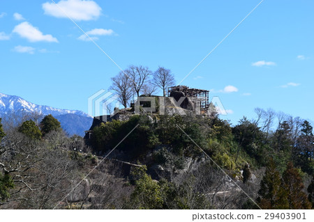 Saplings Castle Ruins 2 Saplings Castle Ruins 2 29403901