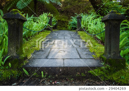 Small bridge in the Terra Nostra Garden Small bridge in the Terra Nostra Garden 29404269