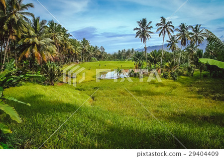 Indonesian tropical landscape Indonesian tropical landscape 29404409
