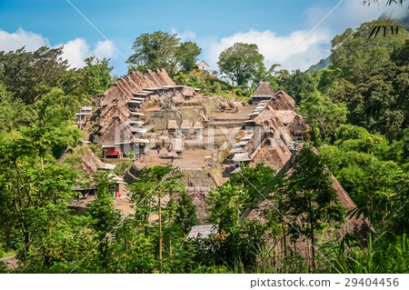 Bena Village in Flores 29404456