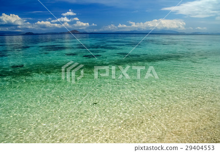 Water Of Paradise Water Of Paradise 29404553