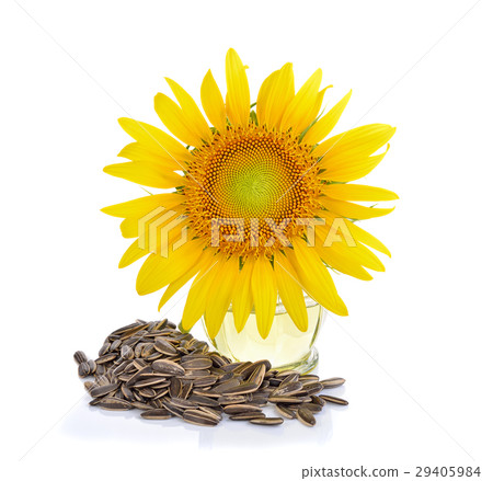 sunflower oil  on white background 29405984