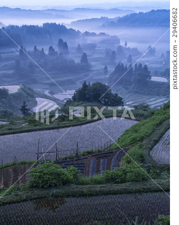 Rice terrace before sunrise (Niigata) 29406682