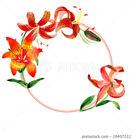 Wildflower leopard lily flower frame in a 29407122