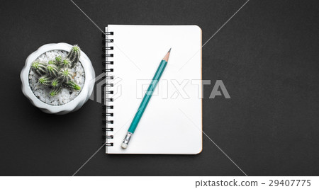 Notebook, pencil and cactus on black table 29407775