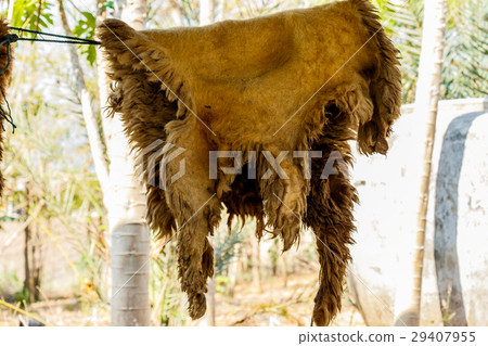 Wool on the rail in nature background. Wool on the rail in nature background. 29407955