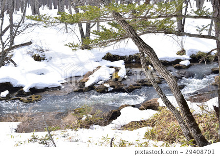 Yukawa flowing through the snow stature light 29408701