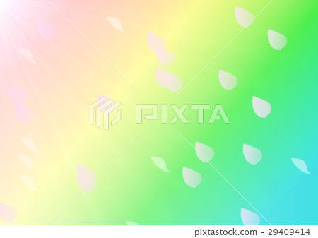 櫻花暴風雪和彩虹 29409414