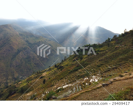 Sunbeams over steep rice terraces 29409417
