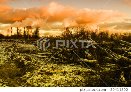 The felled trees against the background of smoking The felled trees against the background of smoking 29411200