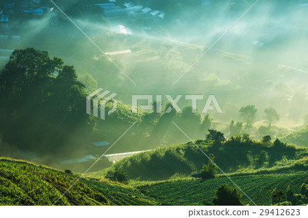 rays of the sun breaking through the fog rays of the sun breaking through the fog 29412623