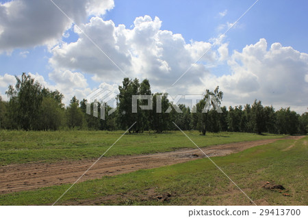 Beautiful summer landscape 20287 Beautiful summer landscape 20287 29413700