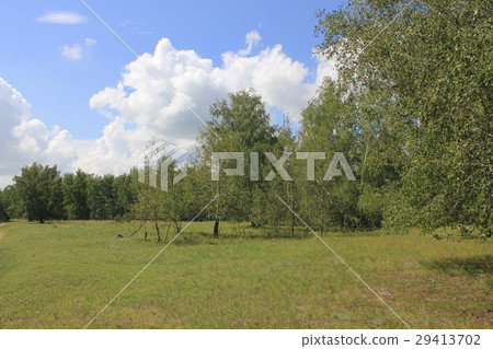 Beautiful summer landscape 20289 Beautiful summer landscape 20289 29413702