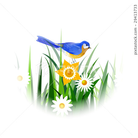 Spring blue bird 29413733