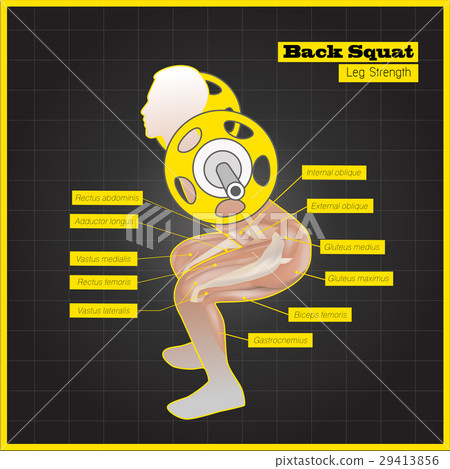 Antagonistic muscle exercises and Workouts 29413856