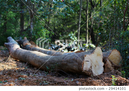 記錄石尖材料 記錄石尖材料 29414101