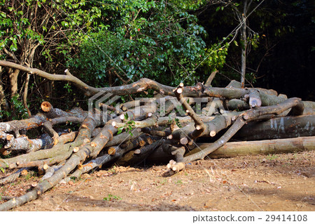 Logging of shi tip material 29414108