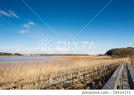 Blue sky in the vicinity of Tega-numa, Chiba Prefecture Blue sky in the vicinity of Tega-numa, Chiba Prefecture 29414151