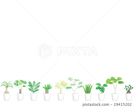 Houseplants lined up on the floor 29415202