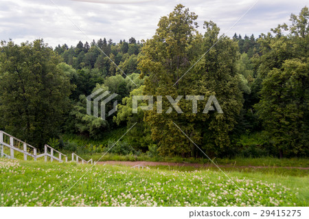 White staircase goes to the forest 29415275