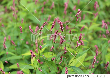 與Inita 與Inita 29417119