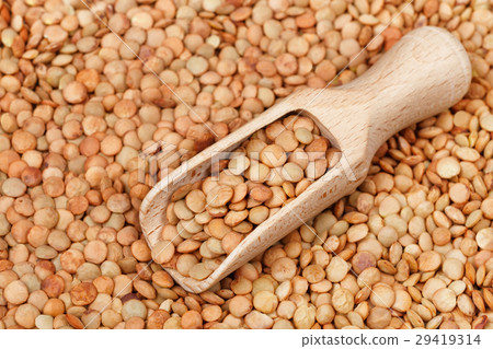 scoop on brown lentils background scoop on brown lentils background 29419314
