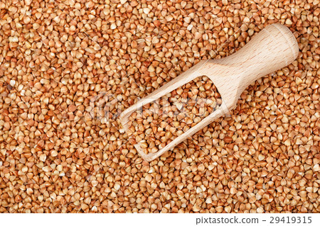 scoop on brown buckwheat scoop on brown buckwheat 29419315