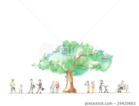 A big tree in the park, a man and a senior 29420663