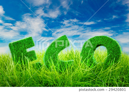 Eco concept Letters  Eco concept Letters  29420801