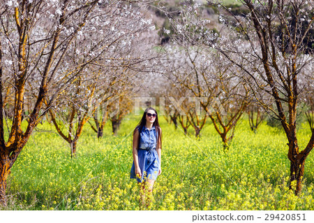 girl in blossoms tree valley and flower meadow girl in blossoms tree valley and flower meadow 29420851