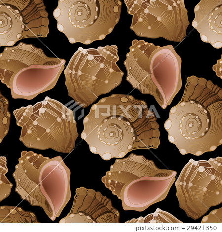 Graphic seashells pattern Graphic seashells pattern 29421350