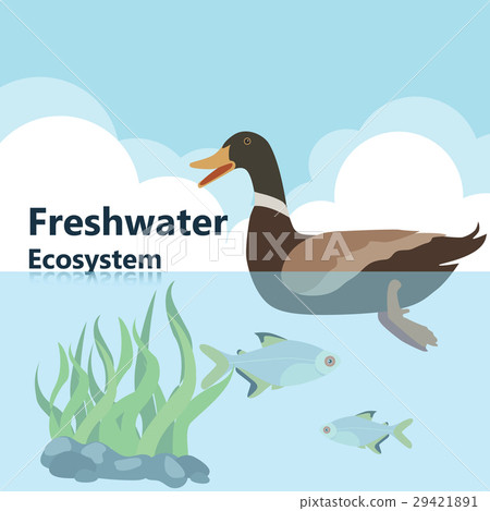 freshwater ecology  29421891
