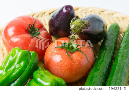 夏季蔬菜 29422145