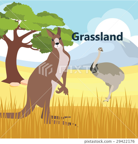 grassland ecology grassland ecology 29422176