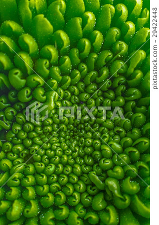 Green pattern fower Green pattern fower 29422448