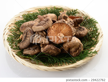 Shiitake mushroom 29422762