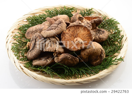 Shiitake mushroom 29422763