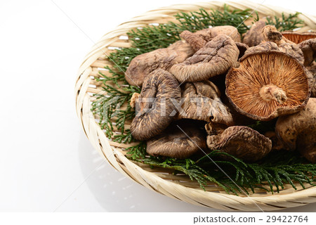 Shiitake mushroom Shiitake mushroom 29422764