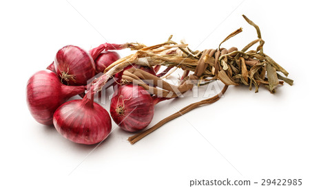 Fresh red onion 29422985