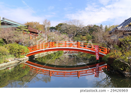 Kyoto Spring Shrine Spring Garden 29426969