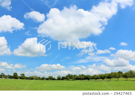 Summer blue sky and fresh green park square Summer blue sky and fresh green park square 29427465
