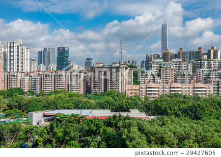 The streets of Shenzhen, China The streets of Shenzhen, China 29427605