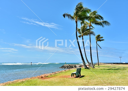 Holidays in Hawaii Holidays in Hawaii 29427874