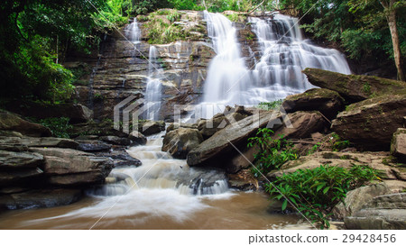 Waterfall in the national park , Thailand Waterfall in the national park , Thailand 29428456