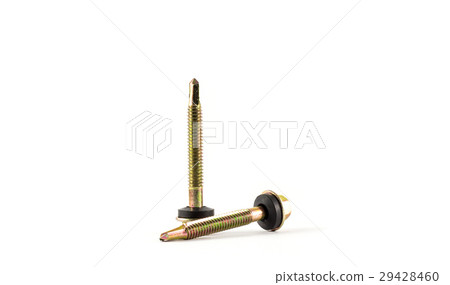 Close up screw isolated on white background 29428460