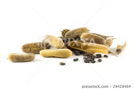 Close up seeds of sunhemp on white background Close up seeds of sunhemp on white background 29428464