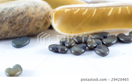 Close up seeds of sunhemp Close up seeds of sunhemp 29428465