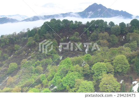雪仍然是新鮮綠色的山脈 29428475