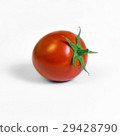 Single plum tomato ripe white background square 29428790