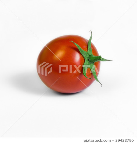 Single plum tomato ripe white background square 29428790